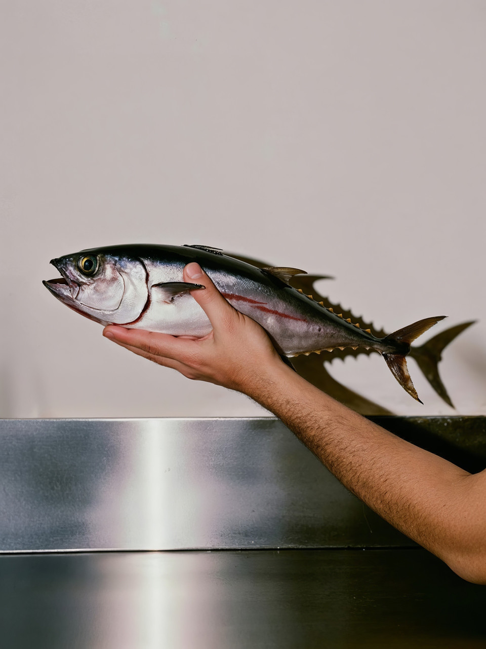 Verse vis en schaaldieren van Culivier, horecaleverancier voor restaurants en cateraars in Vlaanderen